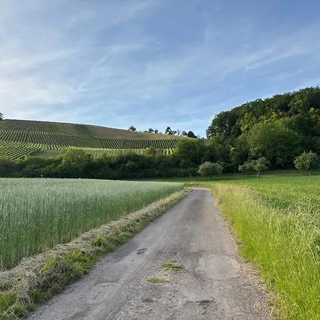 Ferienwohnung Scheib - Aspach - Nahe Sonnenhof & Wirmachendruck Arena Lejlighed Aspach